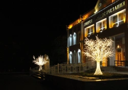 Illumination frame "LED tree" - decorative street lamp, installed as an independent stationary lamp