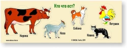 Game "Who eats what? Pets"