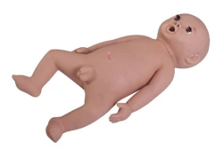 Newborn model for nursing T13