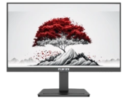 Monitor RDW2401B EMTC.467846.006-05