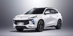FORTHING T5 EVO passenger car