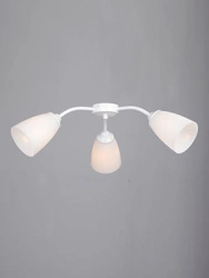 General purpose fixed luminaire V3108-0/3PL