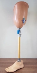 Training hip prosthesis PN6-LT.1
