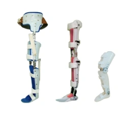 Ankle and knee joint apparatus AN2-01-OK