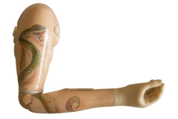 Shoulder prosthesis with external energy source PR4-B1