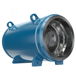 Check valves PT41001
