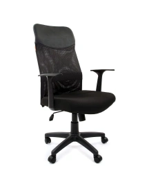 Armchair model CHAIRMAN 610LT
