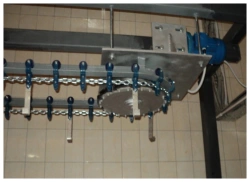 Suspended container conveyor