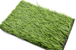 Artificial grass Grass 55/12