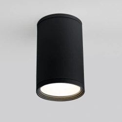 Test item 1