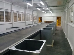 Belt sorting conveyor (conveyor), type KLPS
