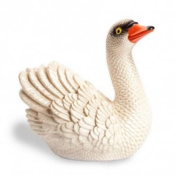 Swan