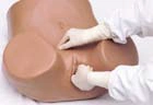 Female Genital Examination Model 7