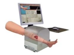 Bleeding simulator (lower extremity) G106-2