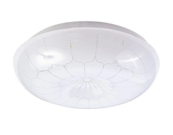 LED wall-ceiling luminaire TM "ON" NBB-R-5 "Azhur" 28W