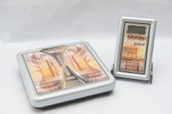 Scales of electronic unified design series VEU-200-50/100-A-D