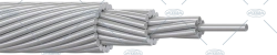 Non-insulated wire ASP