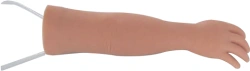 Hand model for injection practice, S13