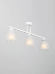 General purpose fixed luminaire V4979-0/3PL