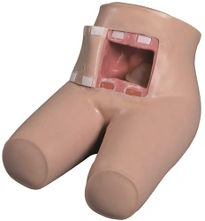 Mannequin for enema administration, art. no. NS6035 / 15