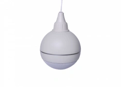 Speech ceiling siren "Verb PP-10"