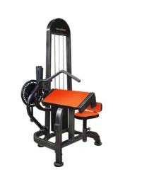 TG-0080-C. Biceps+triceps machine