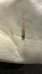 Flame retardant nonwoven fabrics made of chemical fibres, combined thermally cross-linked SHERSTON ECO FR abbreviated name SHE