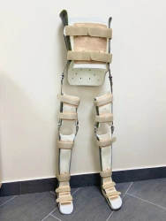 AH8-T lower limb and torso apparatus