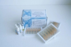 Reagent kit for in vitro diagnostics "Multimicrotests for biochemical identification of Gram-negative pathogenic bacteria.
