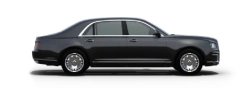 Specialty Passenger Cars