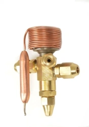 Thermostatic control valve TE1
