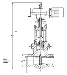 976-250-EbCh Control valve