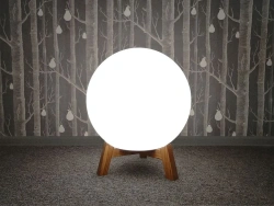 Luminaire Wood_S 50 (E27) IP40 3000K
