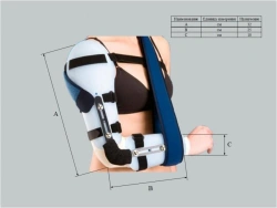 Elbow and shoulder joint apparatus