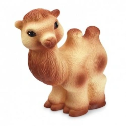 Camel