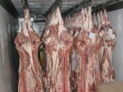 Meat of pork of 2 categories in carcasses and half carcasses frozen