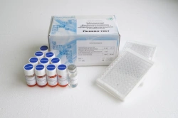 Reagent kit for detection of Mycoplasma pneumoniae and determination of sensitivity to antibiotics (Pneumo-test)