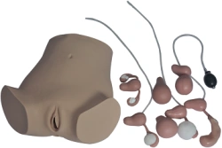Model for obstetrics and gynaecology, art. no. GP6609