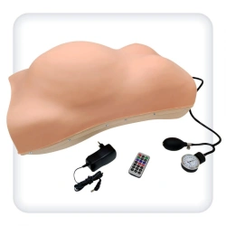 M1101 Phantom for obstetric examination