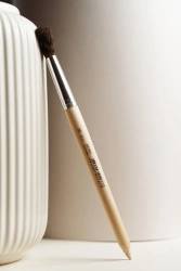 Art brushes, writing brushes
