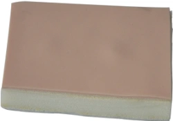 Model for atheroma resection CS6216