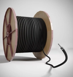 Type 1 extended anode (APr.PTM.1)