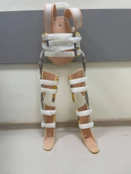 Apparatus for lower limbs and trunk (orthosis) AN8-39-01PL