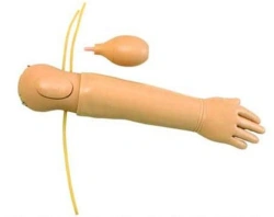 Newborn arm model for intra-arterial injections S36