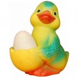 Duck - mum #2