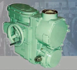 Electric multi-turn actuators of increased safety for nuclear power plants