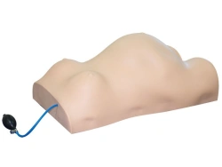 Pregnancy examination simulator, W-1