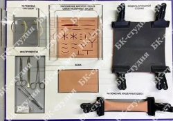 Simulator for practising veterinary-surgical skills