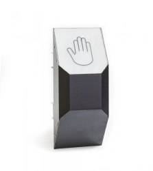 TVP (Pedestrian call sign) button