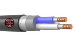Cable VVGEng(A)-FRLS 2x10 kr (0,66) LLC "KKF" GOST
